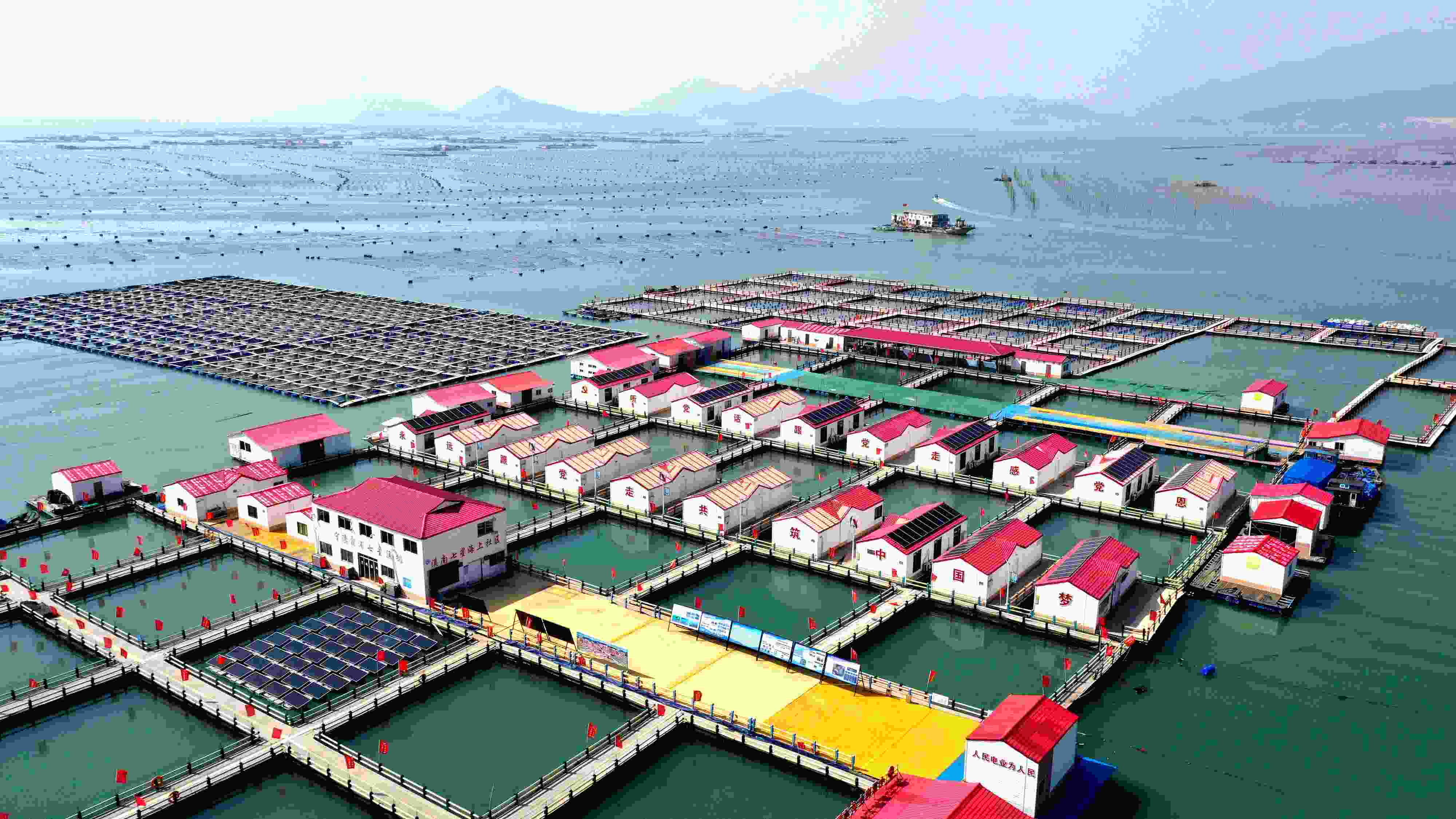 2024年3月20日，福建省寧德市，霞浦縣溪南鎮(zhèn)七星村漁排養(yǎng)殖示范區(qū)，漁民駕駛養(yǎng)殖船進行海參養(yǎng)殖作業(yè)。