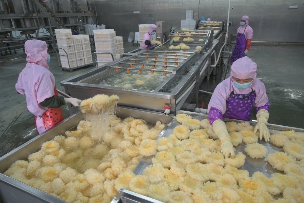 2024年5月10日，在福建省寧德市古田縣，一家食品公司的工作人員在挑選清洗銀耳。新華社記者 林善傳 攝