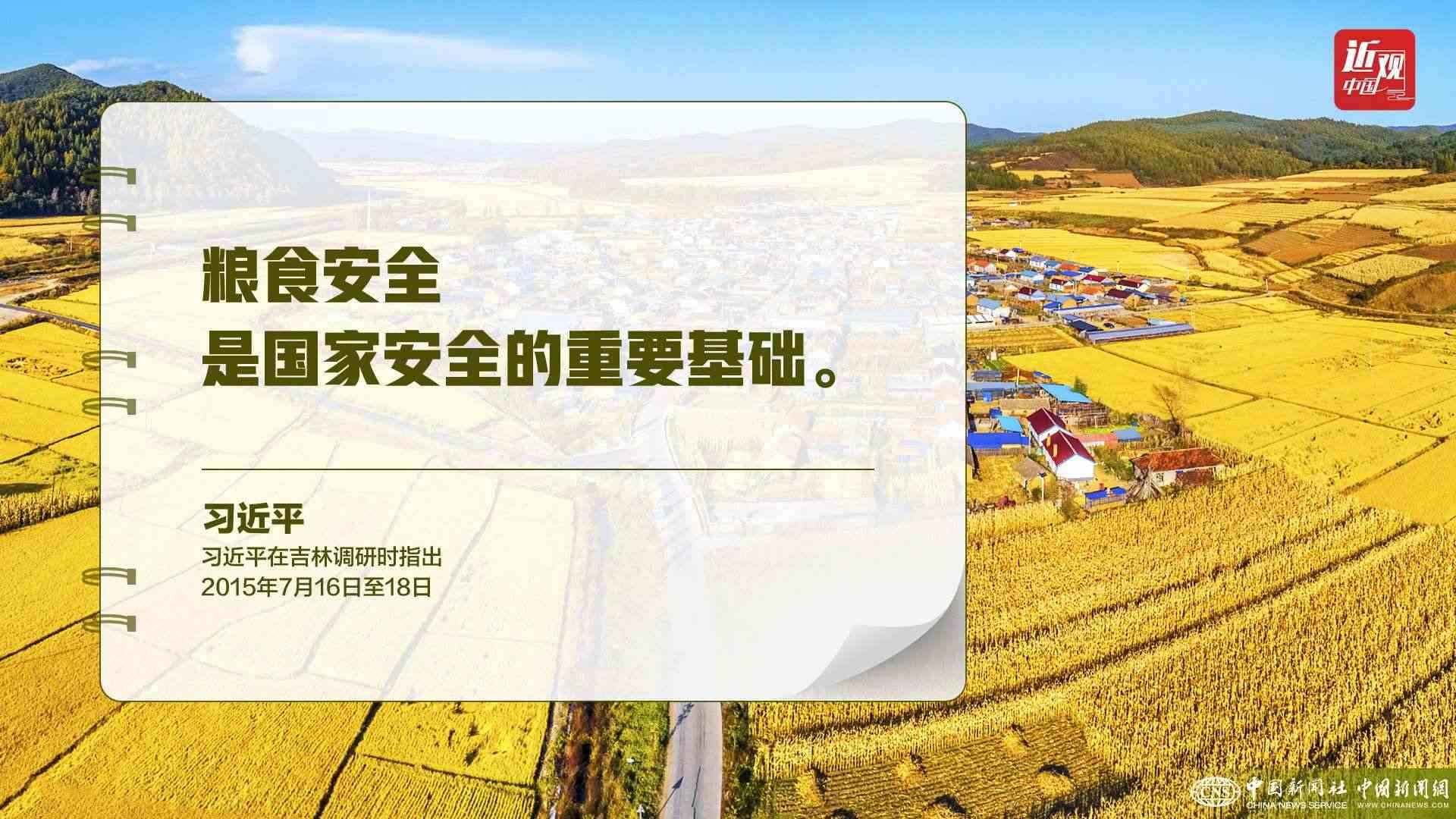 習(xí)近平：樹立大食物觀，構(gòu)建多元化食物供給體系