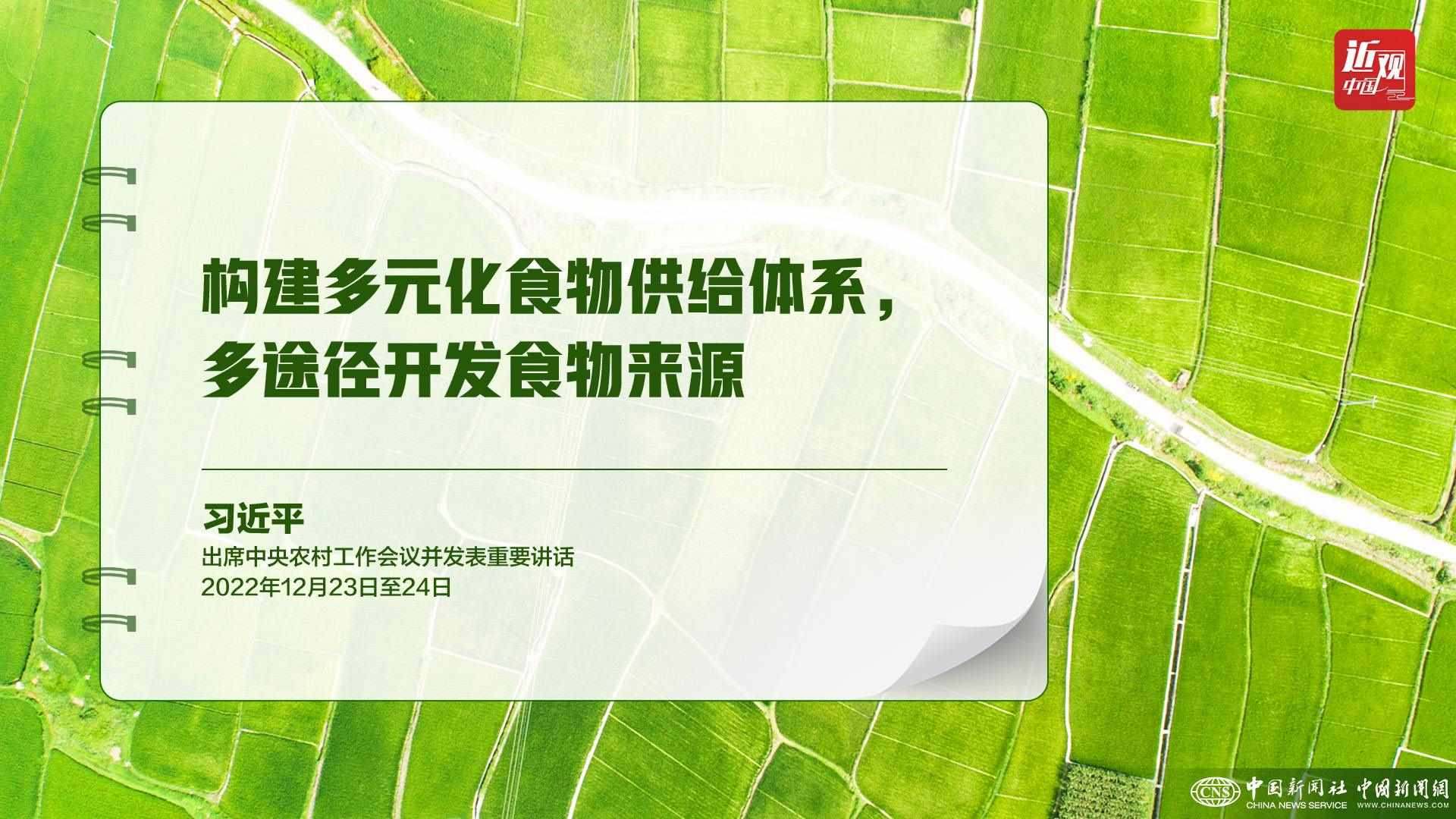 習(xí)近平：樹立大食物觀，構(gòu)建多元化食物供給體系