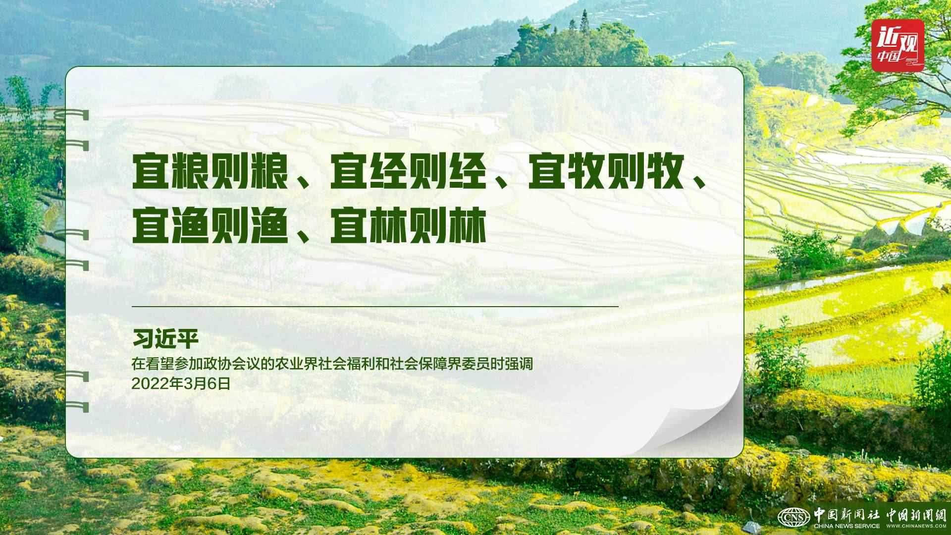習(xí)近平：樹立大食物觀，構(gòu)建多元化食物供給體系