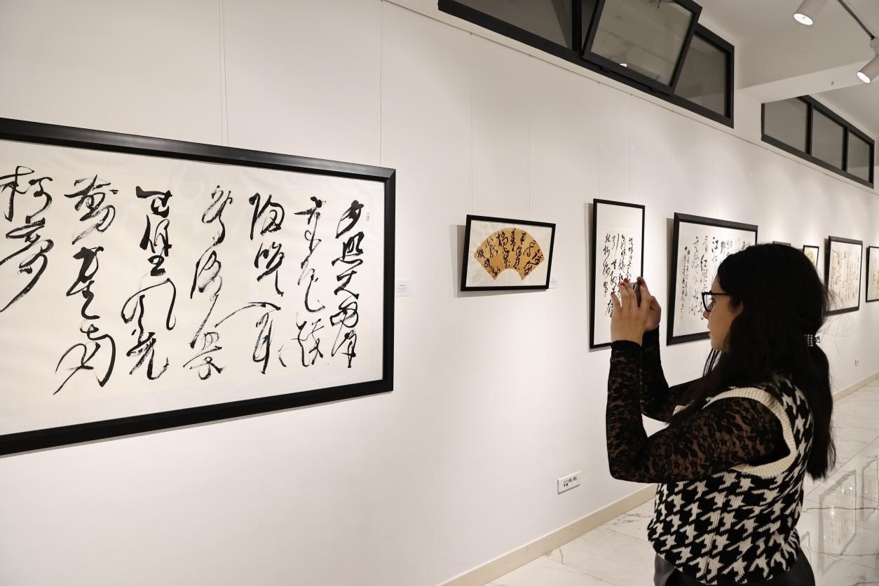 觀眾參觀書法展。拉巴特中國文化中心供圖