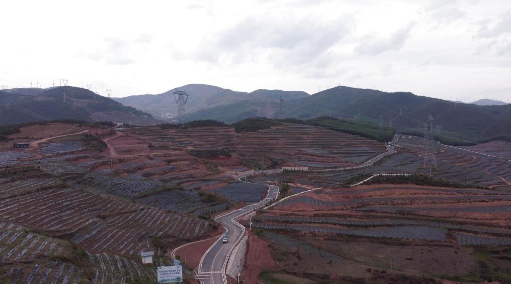 火普村的藍(lán)莓基地一角（無人機(jī)照片）。新華社記者 尹恒 攝
