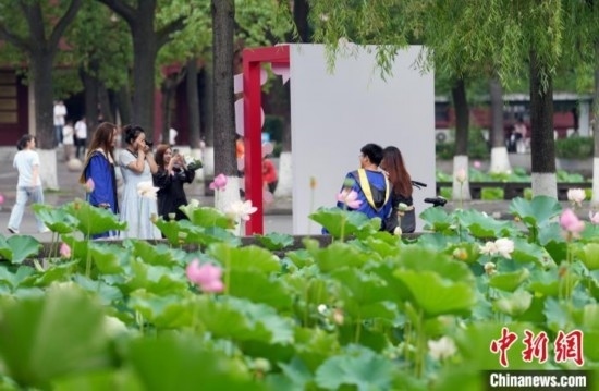 6月19日，時值一年畢業(yè)季，四川大學(xué)望江校區(qū)荷花池里的荷花盛開，成為了畢業(yè)生們的打卡圣地，吸引了眾多畢業(yè)生拍照留念。圖為畢業(yè)生在荷花池邊拍照留念。中新社記者 安源 攝