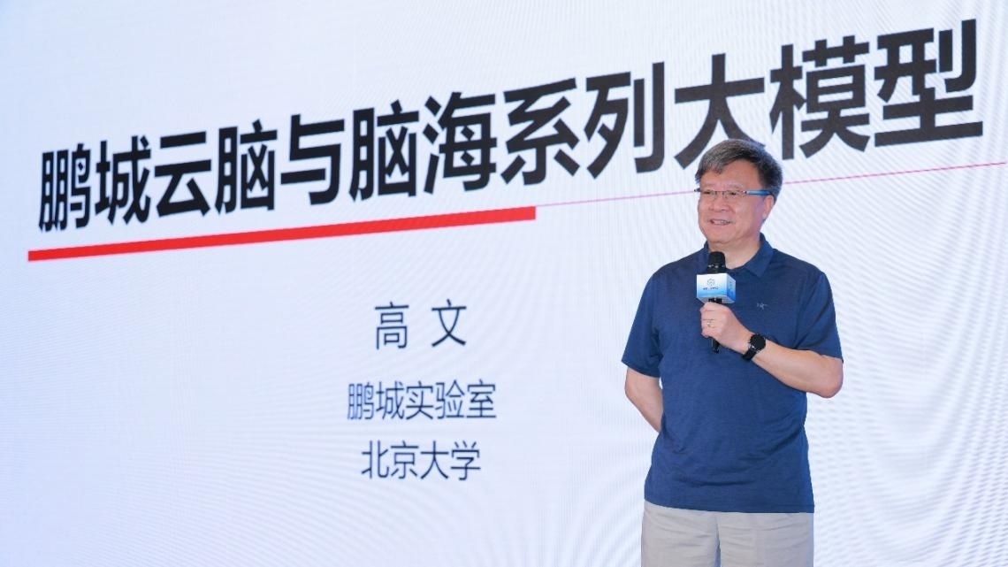 高文院士做大會特邀報告。主辦方供圖