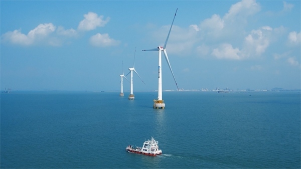 福建興化灣海上風(fēng)電場(chǎng)。受訪者供圖