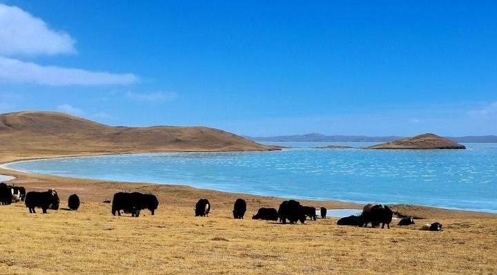 在三江源國(guó)家公園黃河源園區(qū)拍攝的扎陵湖風(fēng)光（2022年3月12日攝）。新華社記者 呂雪莉 攝