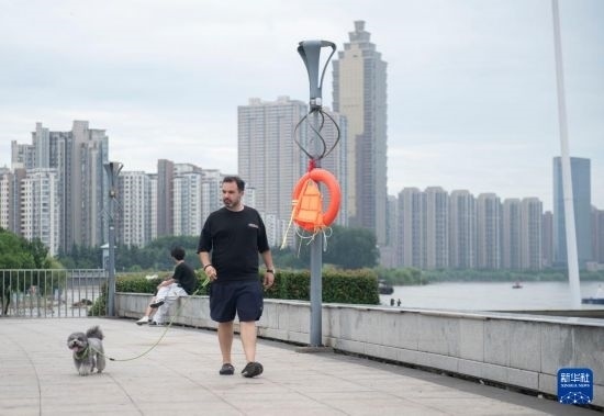 7月20日，在安徽蕪湖市，馬丁在長(zhǎng)江邊遛狗。新華社記者 傅天 攝