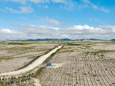 剛剛竣工的其白線穿沙公路。