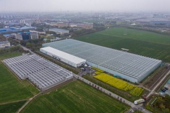 2024年3月28日，空中俯瞰嘉興南湖區(qū)湘家蕩農(nóng)業(yè)數(shù)字化工廠（無人機(jī)照片）。該農(nóng)業(yè)數(shù)字化工廠占地總面積約62畝，包含智慧農(nóng)業(yè)生產(chǎn)、物聯(lián)網(wǎng)智能管理、自動(dòng)分揀包裝、保鮮儲藏物流、高科技示范展示等五大功能區(qū)，可直接或間接培養(yǎng)帶動(dòng)新型職業(yè)技術(shù)農(nóng)民500人以上。新華社記者 徐昱 攝