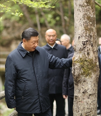 2020年4月，習(xí)近平總書記來到位于商洛市柞水縣的秦嶺牛背梁國家級自然保護(hù)區(qū)，考察秦嶺生態(tài)保護(hù)情況。新華社記者 鞠鵬 攝