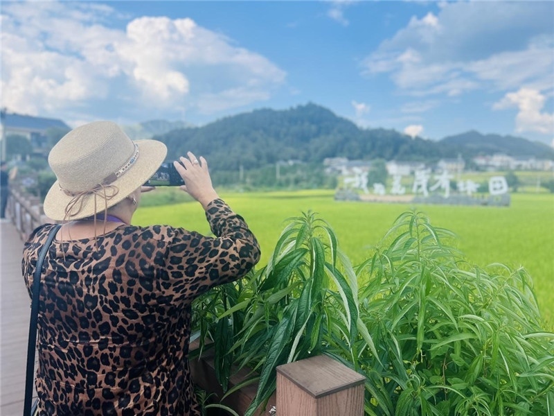 “我在花茂有塊田”，不僅是中國人的詩和遠(yuǎn)方，也是塔吉克斯坦“阿維斯塔”通訊社總編輯占納特洪·庫爾班諾娃的“烏托邦”。（張亞欣攝）
