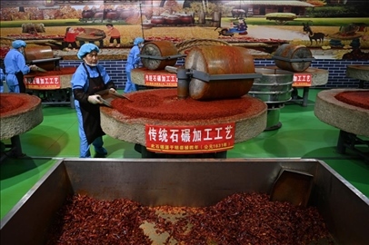 工人用電動(dòng)石碾加工辣椒面。新華社記者 范培珅 攝