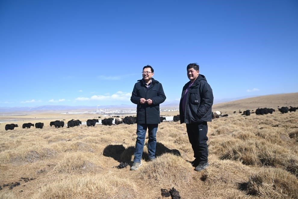 2023年2月24日，在青海省海北藏族自治州海晏縣青海湖鄉(xiāng)達玉日秀村，全國人大代表董全民（左）查看牧民東知布家的草場。新華社記者 張龍 攝