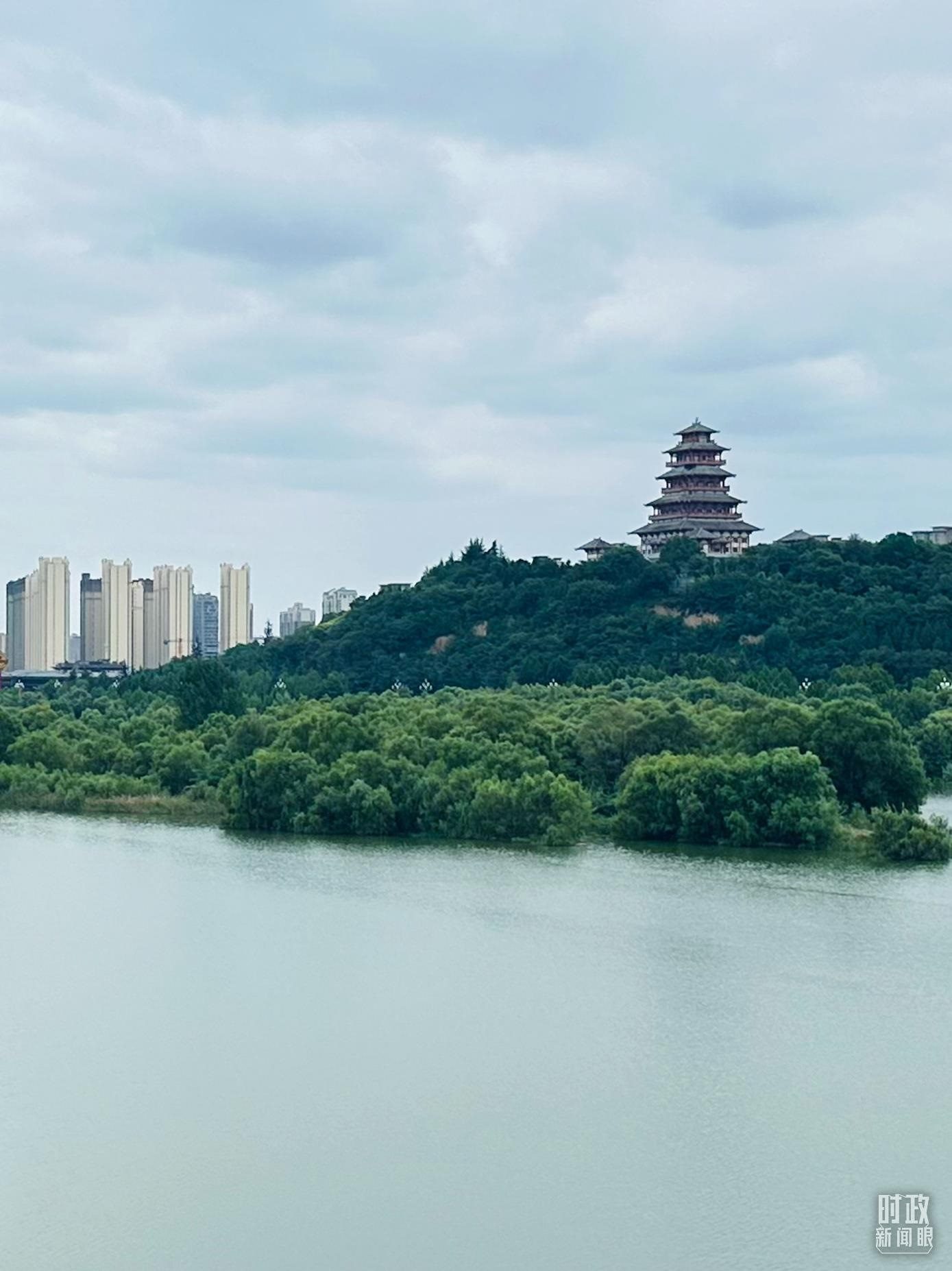 △渭河寶雞段長(zhǎng)224公里，目前建成17處渭河灘區(qū)生態(tài)涵養(yǎng)區(qū)。（總臺(tái)央視記者范一鳴拍攝）
