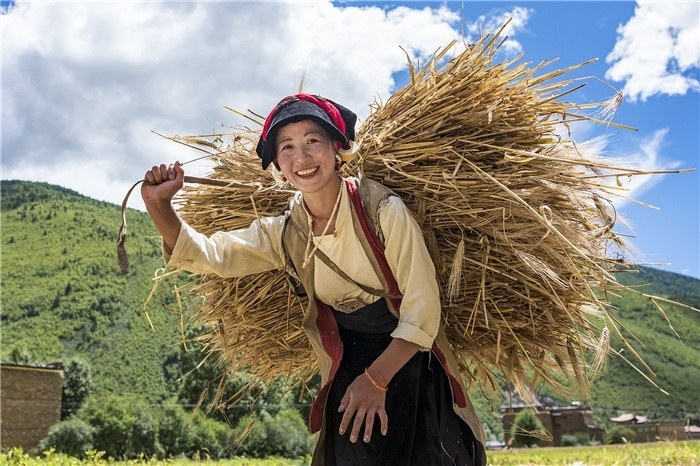 康定市甲根壩鎮(zhèn)青稞豐收，農(nóng)牧民臉上洋溢著豐收的喜悅。林革文攝