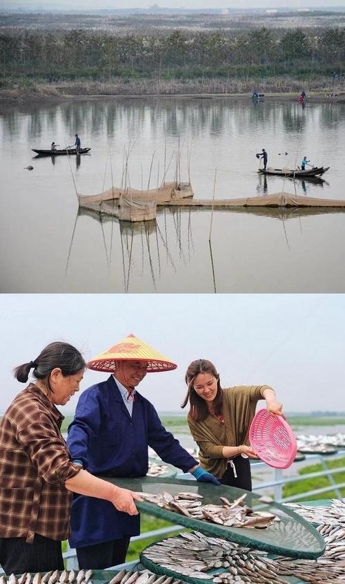 拼版圖片：圖為2017年和2024年洞庭湖區(qū)百姓生活之變。2017年洞庭湖漁民湖上捕魚(yú)，2024年，轉(zhuǎn)產(chǎn)上岸后的熊玉蘭一家在晾曬風(fēng)干魚(yú)。攝影：嚴(yán)春芳 張峰庭 制作：賈稀荃