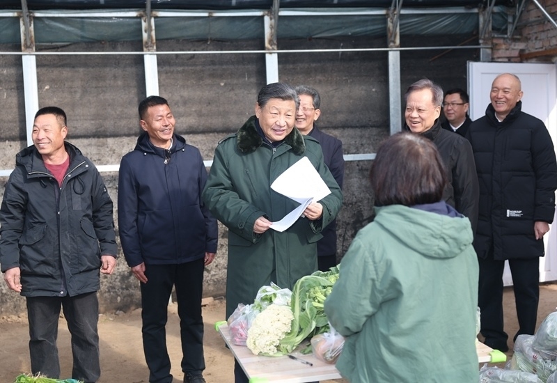2024年2月1日，習(xí)近平總書記在天津市西青區(qū)辛口鎮(zhèn)第六埠村，走進大棚同菜農(nóng)親切交流。