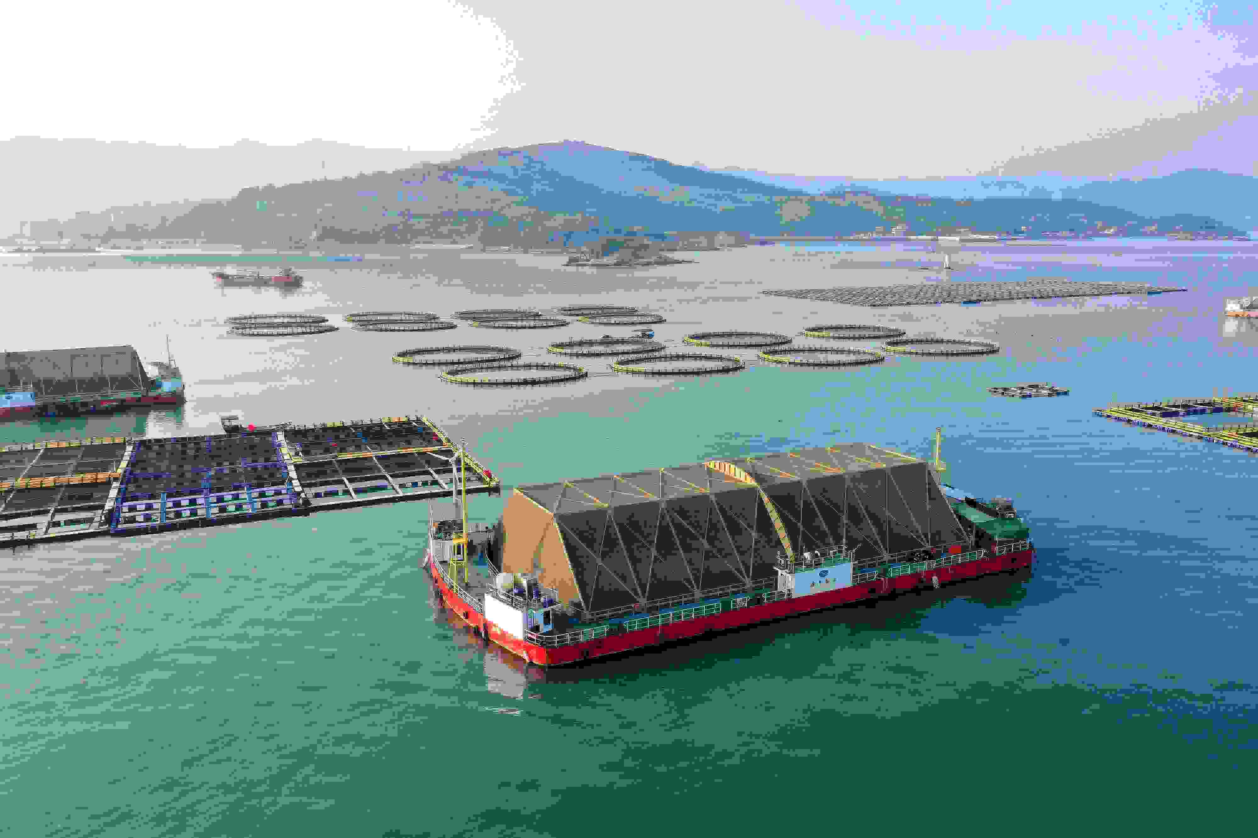 2024年9月10日拍攝的福建省福州市連江縣定海灣海域的現(xiàn)代化“海上糧倉”。