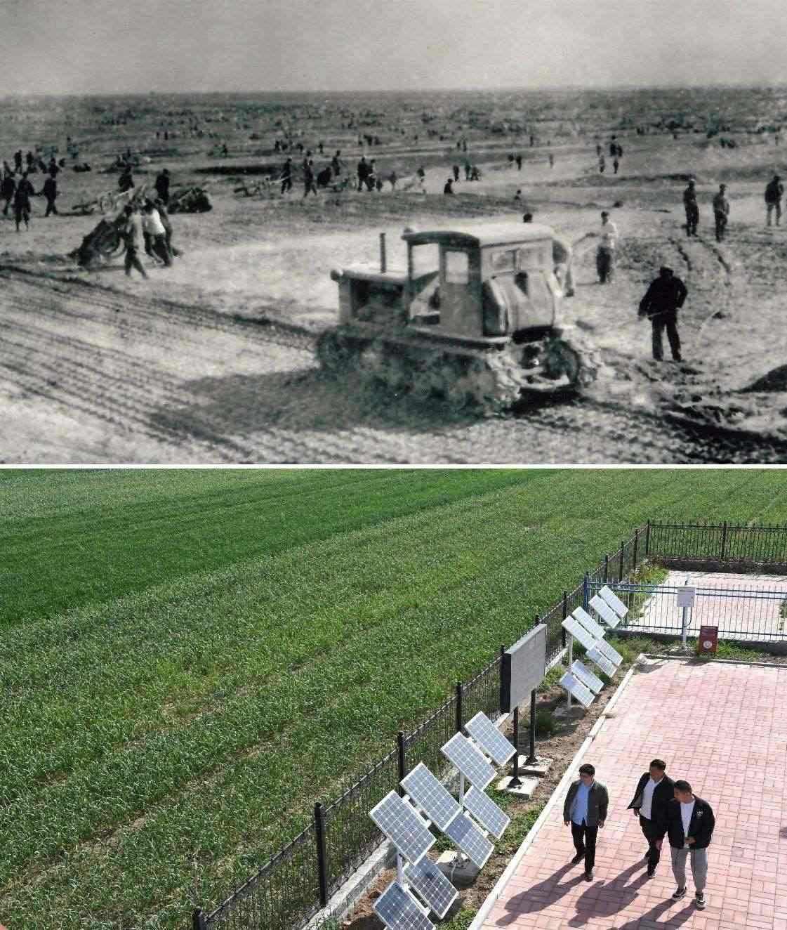 上圖為二十世紀六十年代蘭考改造鹽堿地的情景（資料照片）；下圖為2024年4月18日拍攝的蘭考縣紅廟鎮(zhèn)高標準農(nóng)田示范區(qū)。（新華社記者 朱祥 攝）