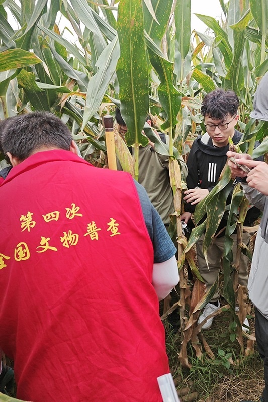 普查隊員正在使用探鏟進行探測。中國文物報供圖
