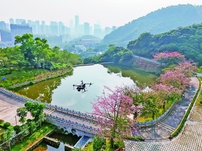 無人機在深圳塘朗山郊野公園里巡檢。新華社發(fā)