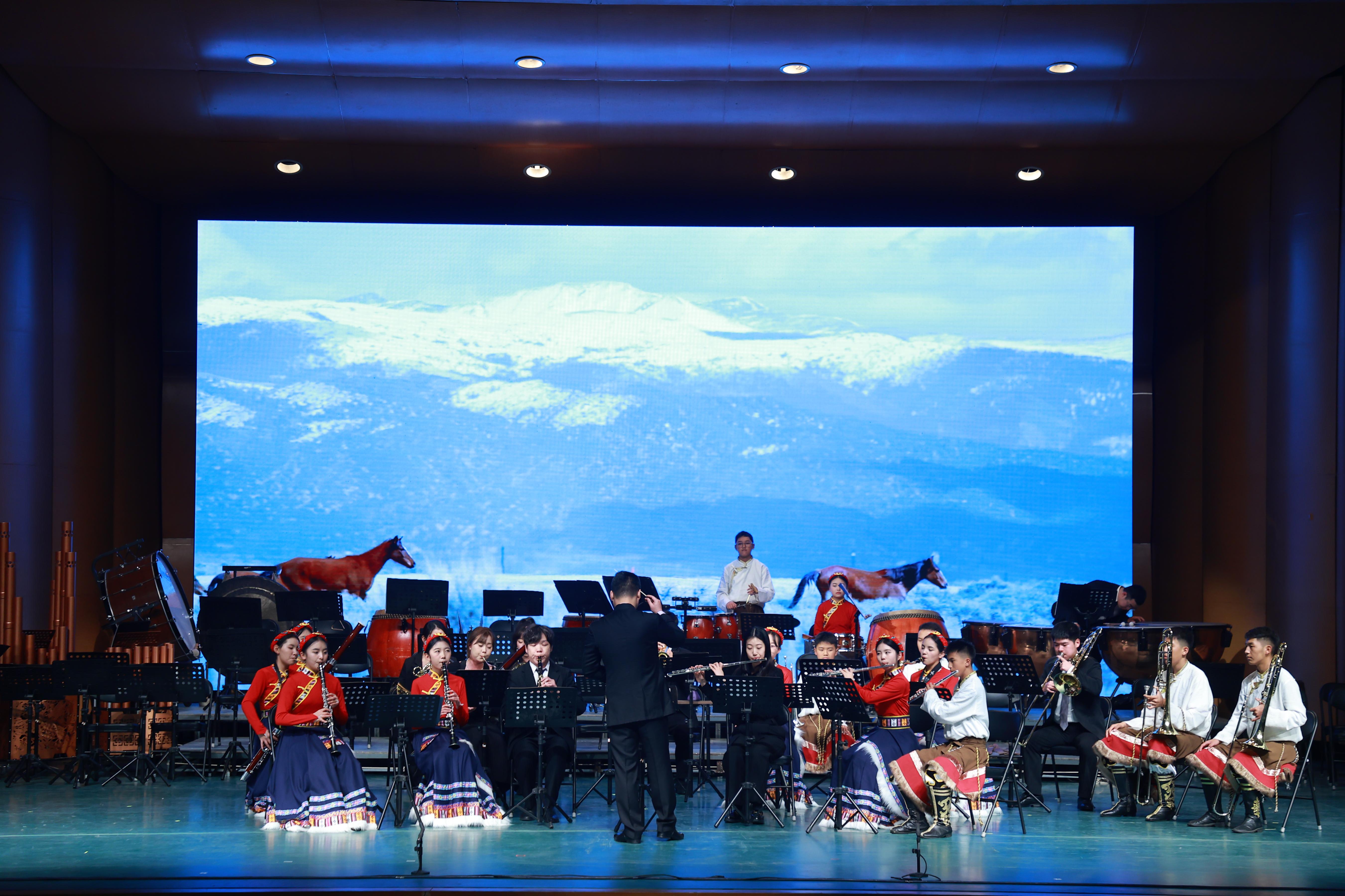 音樂會(huì)展演現(xiàn)場。（主辦方供圖）