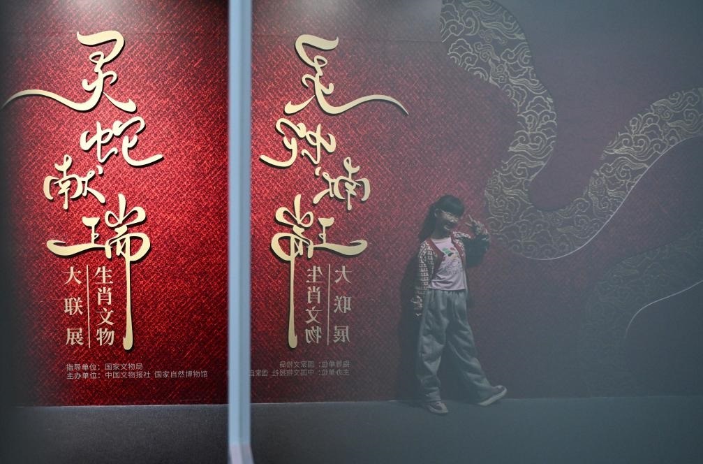 1月18日，一名小朋友在國(guó)家自然博物館舉辦的“靈蛇獻(xiàn)瑞——2025乙巳蛇年生肖文物大聯(lián)展”展覽中拍照留念。（新華社記者 陳鐘昊 攝）