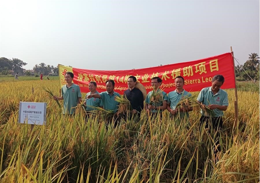 中國駐塞拉利昂大使王擎和援塞農(nóng)業(yè)專家組合影。中國援塞農(nóng)業(yè)專家組供圖