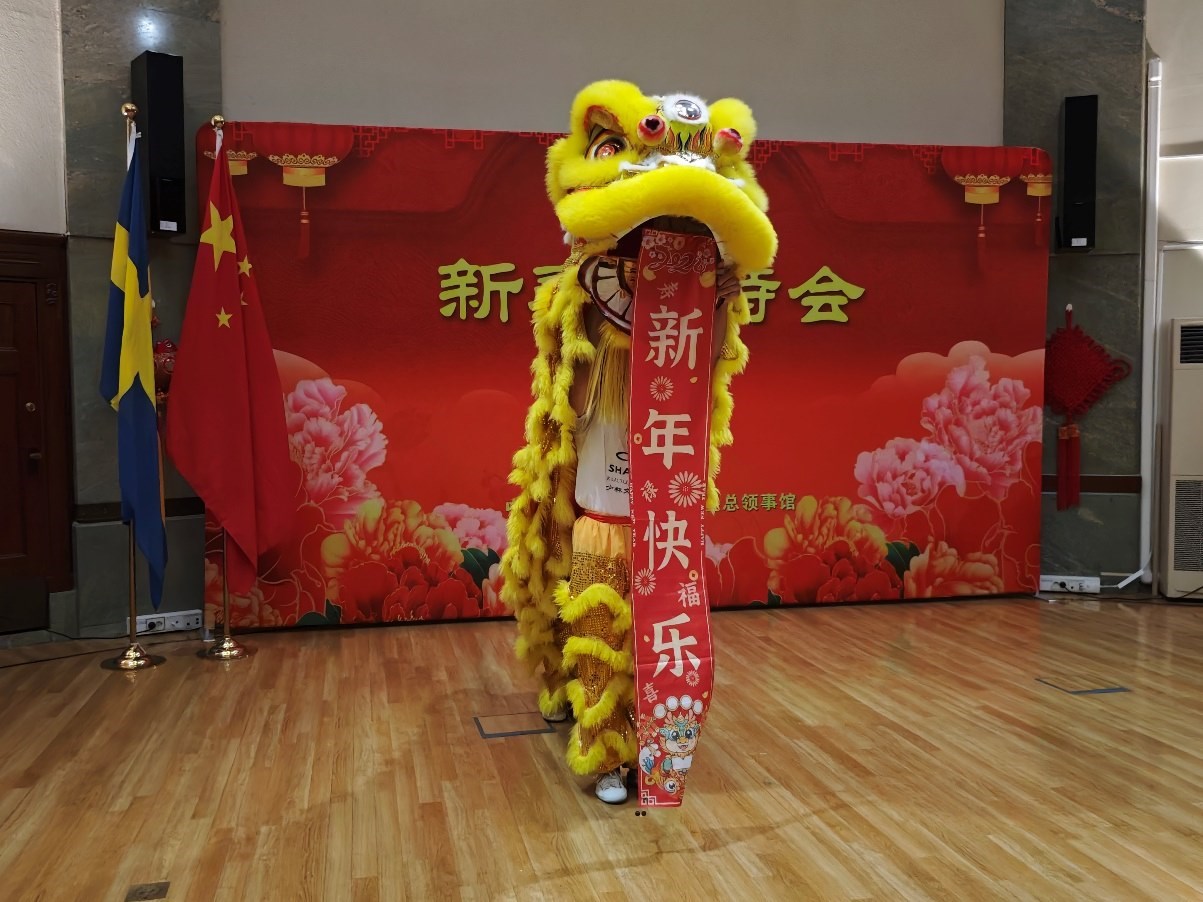 開場(chǎng)舞獅表演。中國(guó)駐哥德堡總領(lǐng)館供圖
