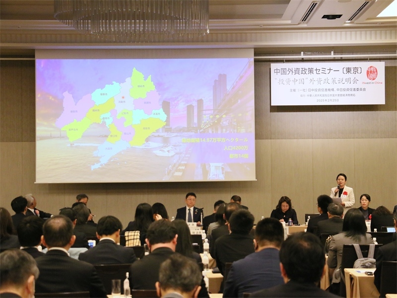 地方代表進行專題投資推介。人民網(wǎng) 許可攝