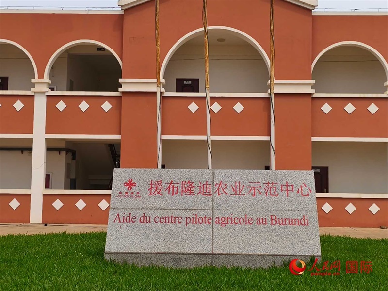 援布隆迪農(nóng)業(yè)示范中心。人民網(wǎng)記者 黃培昭攝