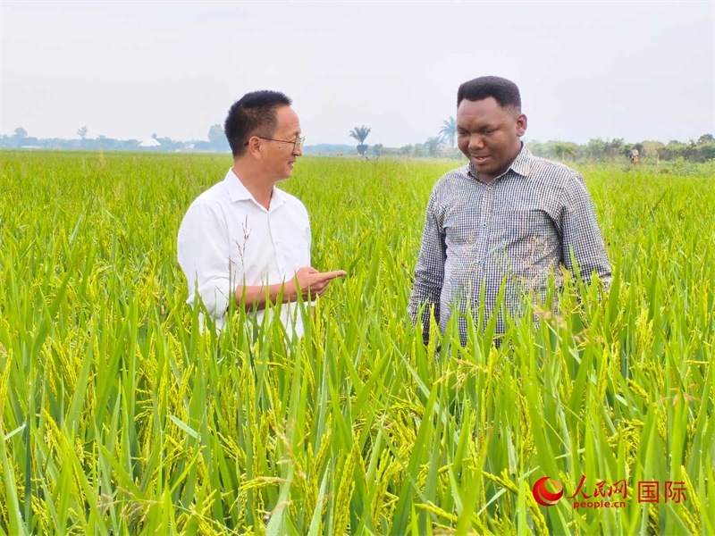 專家組組長楊華德在與農(nóng)民學員交流。人民網(wǎng)記者黃培昭攝