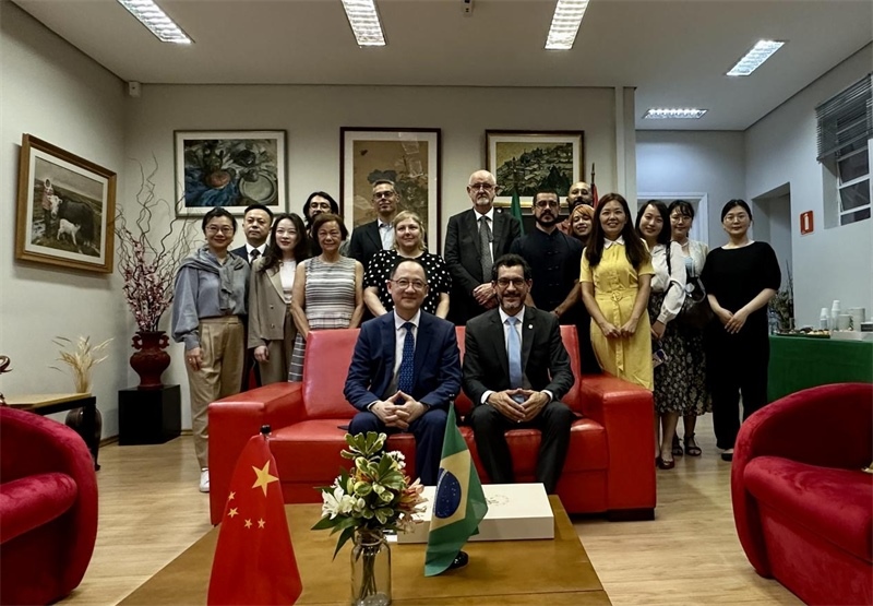 圖為參加座談會的來賓合影留念。 圣保羅州立大學(xué)孔子學(xué)院供圖