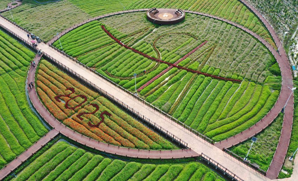 這是3月21日拍攝的瓊海博鰲南強(qiáng)村景色（無人機(jī)照片）。新華社記者 郭程 攝