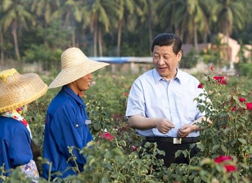 △2013年4月9日，習近平總書記在海南亞龍灣蘭德玫瑰風情產(chǎn)業(yè)園向花農(nóng)了解玫瑰種植管理技術(shù)。