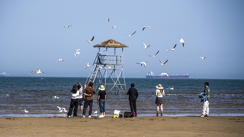 2024年5月12日，河北秦皇島，北戴河鴿子窩公園成群海鷗在天空中自由翱翔，與大海、藍天構成了一幅美麗的畫卷。
