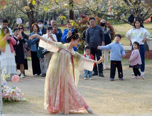 清明假期期間，上海顧村公園櫻花島上，游客在觀賞國風(fēng)漢服快閃表演。（圖片來源：視覺中國）