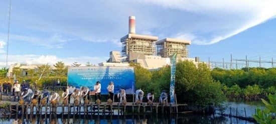 5月18日，中印尼嘉賓在爪哇7號燃煤電站舉行紅樹林補植儀式。記者 曹凱 攝
