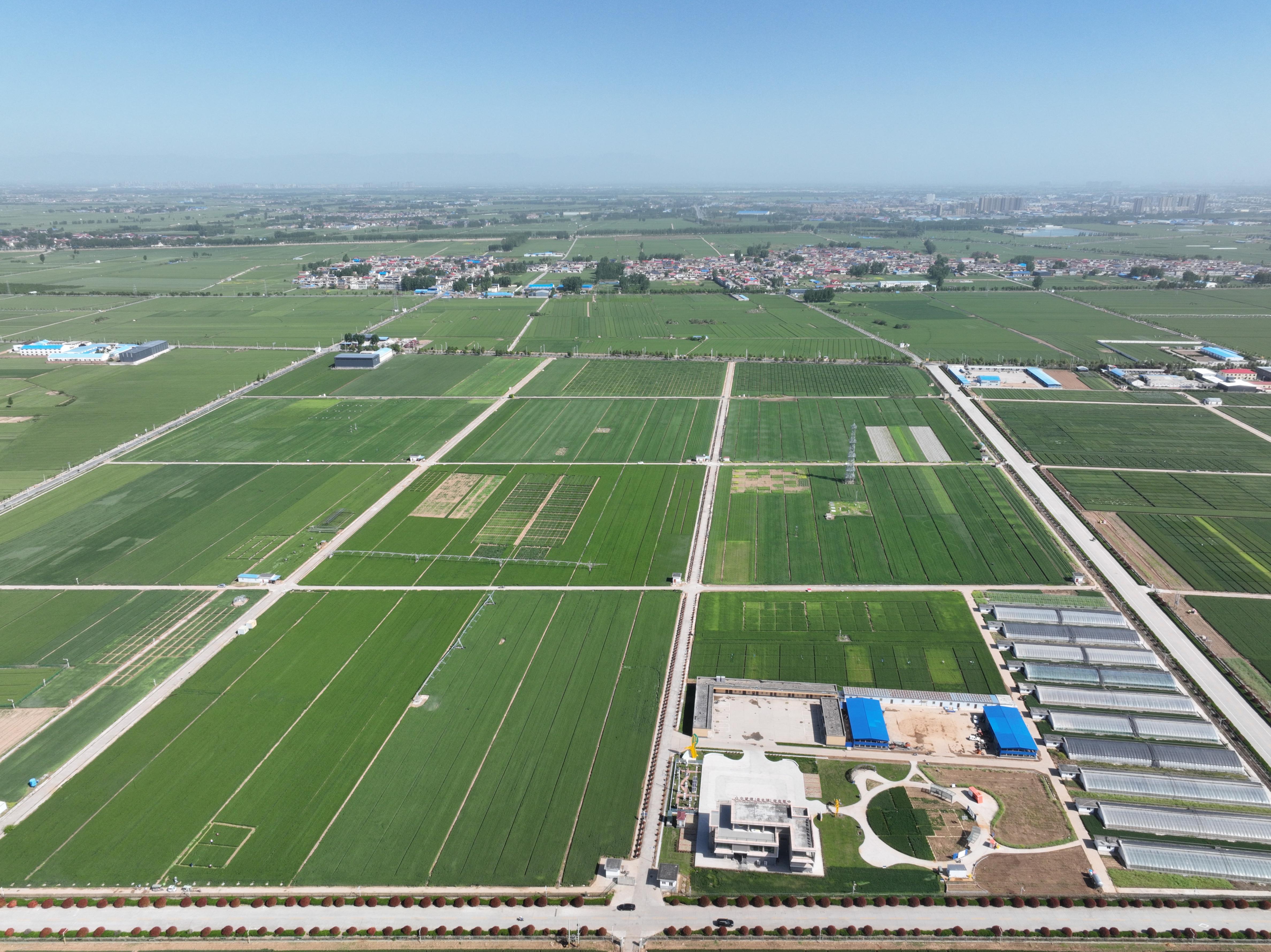 俯瞰水利部灌溉試驗總站試驗研究基地。受訪者供圖
